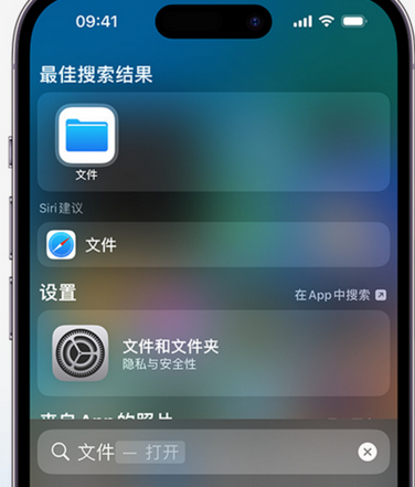 会同apple维修中心分享iPhone文件应用中存储和找到下载文件