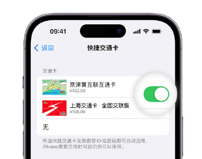 会同apple维修点分享iPhone上更换Apple Pay快捷交通卡手绘卡面 