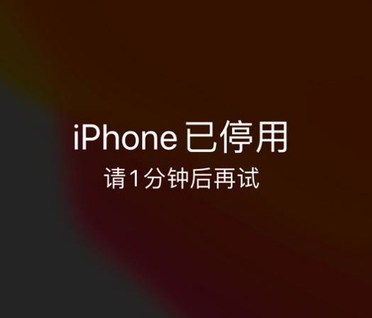 会同苹果手机维修分享:iPhone 显示“不可用”或“已停用”怎么办？还能保留数据吗？ 