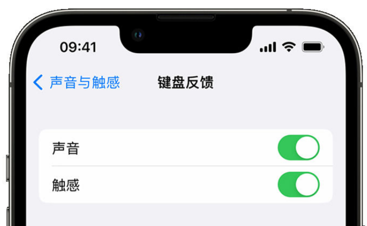 会同苹果手机维修分享iPhone 14触感键盘使用方法 