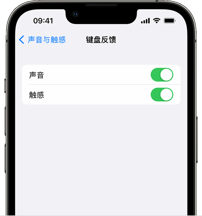 会同苹果14维修店分享如何在 iPhone 14 机型中使用触感键盘 