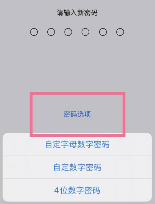 会同苹果14维修分享iPhone 14plus设置密码的方法 