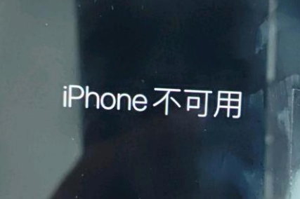 会同苹果服务网点分享锁屏界面显示“iPhone 不可用”如何解决 