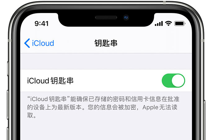 会同苹果手机维修分享在 iPhone 上开启 iCloud 钥匙串之后会储存哪些信息 